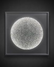 Load image into Gallery viewer, AlejandroRauhut-ContemplationWhite-LeonardTourneGallery