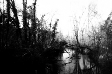 Load image into Gallery viewer, HepburnLondon-Untitled-TourneGallery