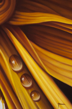 Load image into Gallery viewer, Juan Bernal-Dahlia-Leonard Tourne Gallery