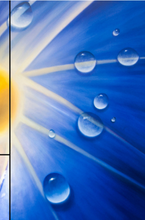 Load image into Gallery viewer, JuanBernal-Hipomea-LeonardTourneGallery