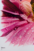 Load image into Gallery viewer, JuanBernal-PinkDalia-LeonardTourneGallery