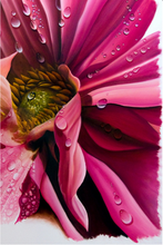 Load image into Gallery viewer, JuanBernal-PinkDalia-LeonardTourneGallery