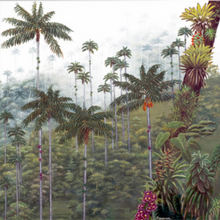 Load image into Gallery viewer, JuanBernal-Ventana Cocora-LeonardTourneGallery