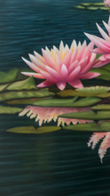 Load image into Gallery viewer, WATERLILY´S REFLECTIONS by JUAN BERNAL