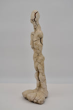 Load image into Gallery viewer, TourneGallery-HazyeRose-MrGravityRight