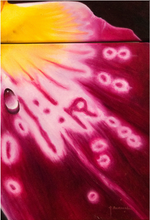 Load image into Gallery viewer, TourneGallery-JuanBernal-MiltoniaOrchid