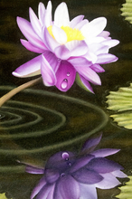 Load image into Gallery viewer, Tourné Gallery- Juan Bernal -Purple Waterlily