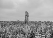 Load image into Gallery viewer, Tourne Gallery - Lena Di - Lupine Embrace