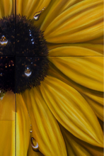 Load image into Gallery viewer, uanBernal-SunFlower-LeonardTourneGallery