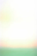 Load image into Gallery viewer, Christophe von Hohengerg - Leonard Tourné Gallery