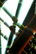 Load image into Gallery viewer, Juan Bernal - Leonard Tourné Gallery