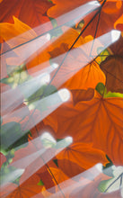 Load image into Gallery viewer, JUANBERNAL-LEONARDTOURNEGALLERY