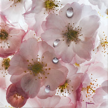 Load image into Gallery viewer, JuanBernal-Cherry Blossoms-LeonardTourneGallery