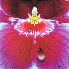 Load image into Gallery viewer, JuanBernal-Miltonia-LeonardtourneGallery