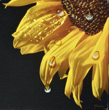 Load image into Gallery viewer, Juan Bernal-Leonard Tourne Gallery