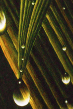 Load image into Gallery viewer, Juan Bernal - Leonard Tourné Gallery