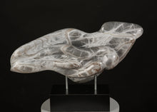 Load image into Gallery viewer, Robert Irwin Wolf - Leonard Tourne Gallery