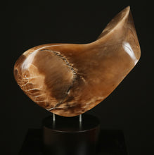 Load image into Gallery viewer, Robert Irwin Wolf - Leonard Tourne Gallery