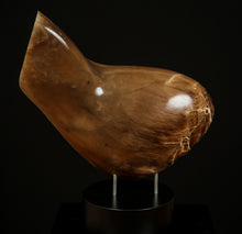 Load image into Gallery viewer, Robert Irwin Wolf - Leonard Tourne Gallery