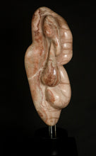 Load image into Gallery viewer, Robert Irwin Wolf - Leonard Tourne Gallery