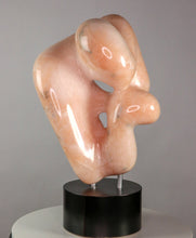 Load image into Gallery viewer, Robert Irwin Wolf - Leonard Tourne Gallery