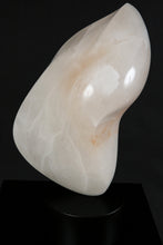 Load image into Gallery viewer, Robert Irwin Wolf - Leonard Tourne Gallery