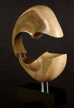 Load image into Gallery viewer, Robert Irwin Wolf - Leonard Tourne Gallery