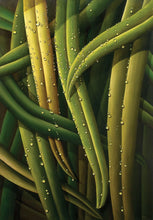 Load image into Gallery viewer, Tourné Gallery-Juan Bernal- Dew-5