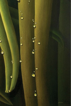 Load image into Gallery viewer, Tourné Gallery-Juan Bernal- Dew-5