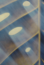 Load image into Gallery viewer, TourneGallery-JuanBernal-LaLuz