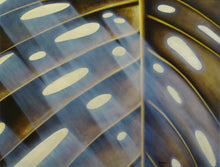 Load image into Gallery viewer, TourneGallery-JuanBernal-LaLuz