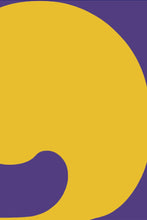 Load image into Gallery viewer, Virginia Derqui - Leonard Tourné Gallery