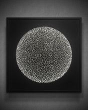 Load image into Gallery viewer, AlejandroRauhut-ContemplationBlack-Leonard Tourné Gallery
