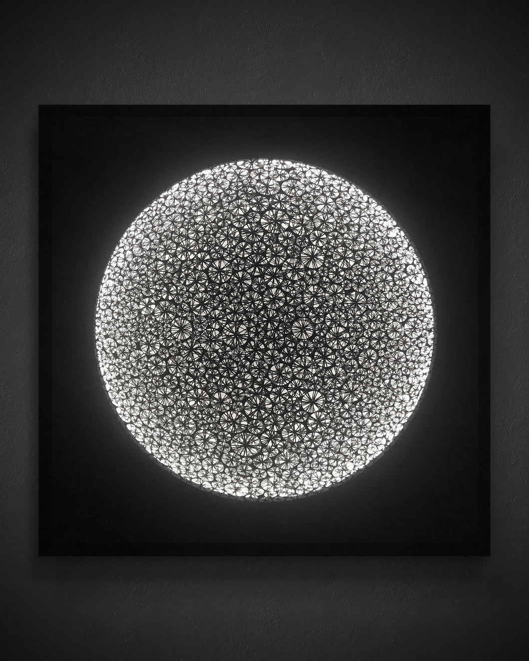 AlejandroRauhut-ContemplationBlack-Leonard Tourné Gallery