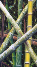 Load image into Gallery viewer, JuanBernal-Guadual-LeonardTourneGallery
