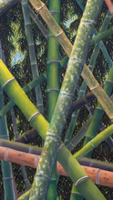 Load image into Gallery viewer, JuanBernal-Guadual-LeonardTourneGallery
