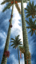 Load image into Gallery viewer, JuanBernal-Llegando al Cielo 1-LeonardTourneGallery
