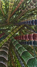 Load image into Gallery viewer, JuanBernal-Mirando Hacia Arriba-LeonardTourneGallery
