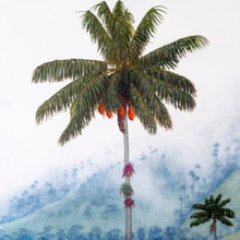 Load image into Gallery viewer, JuanBernal-Ventana Cocora-LeonardTourneGallery
