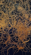 Load image into Gallery viewer,  Madalena Negrone - Untitled - Leonard Tourné Gallery
