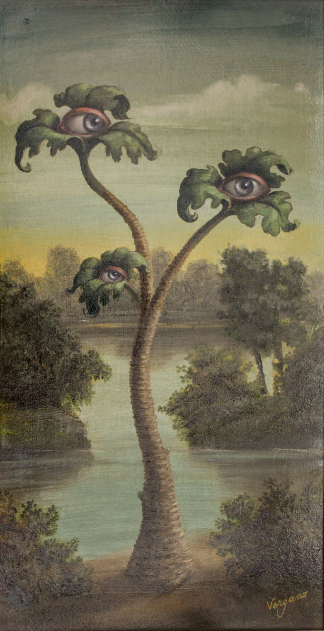 ACANTHUS OCULATUS by CRISTINA VERGANO