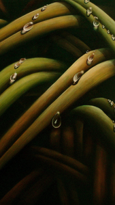 Tourne Gallery- Juan Bernal - Dew II