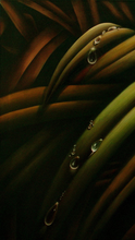 Load image into Gallery viewer, Tourne Gallery- Juan Bernal - Dew II
