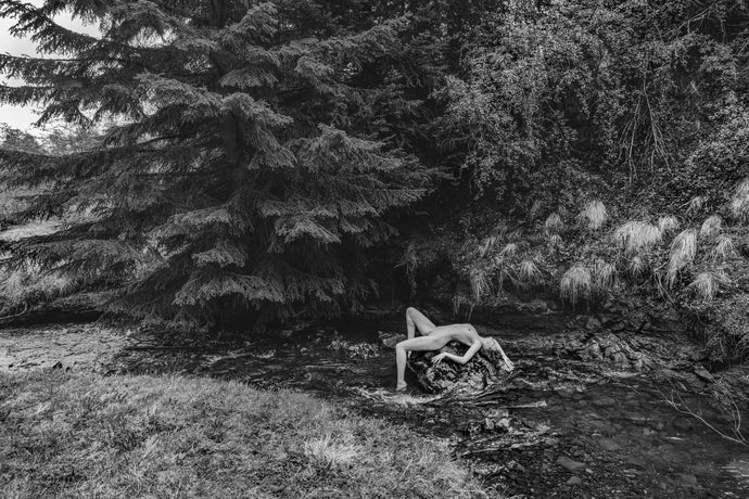 Tourne Gallery - Lena Di - Ebb and Flow