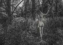 Load image into Gallery viewer, Tourne Gallery - Lena Di -Echoes in the Trees
