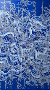 TourneGallery-MadalenaNegrone-Entangled