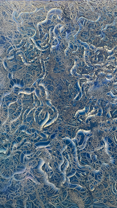 TourneGallery-MadalenaNegrone-Entangled2025