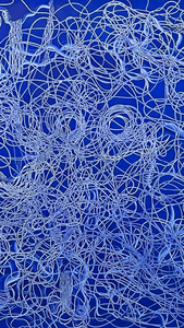 TourneGallery-MadalenaNegrone-EntangledBlue