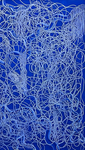 TourneGallery-MadalenaNegrone-EntangledBlue