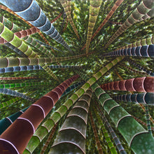 Load image into Gallery viewer, JuanBernal-Mirando Hacia Arriba-LeonardTourneGallery
